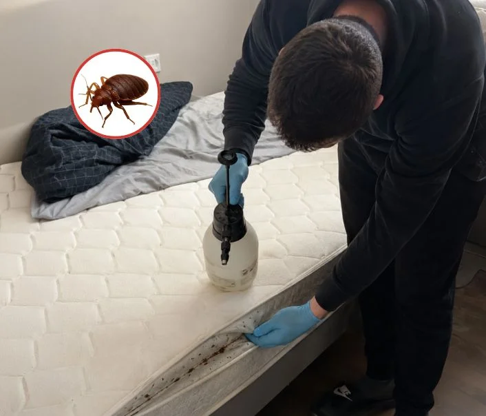 Technicien traitant un matelas contre les punaises de lit à Courbevoie
